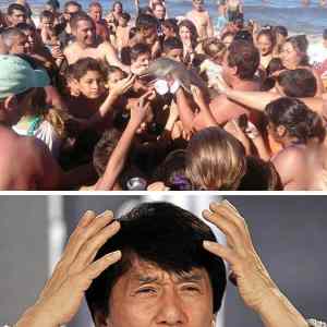 Obrázek 'falkland&nbsp;invaders&nbsp;taking&nbsp;selfies'