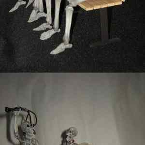 Obrázek 'fandi&nbsp;Svym'