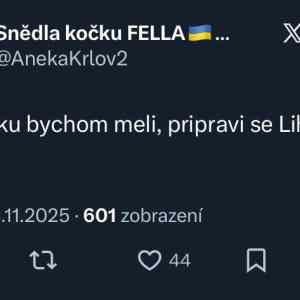 Obrázek 'fanousci deadlistu 1'