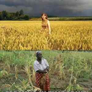 Obrázek 'farmin in rhodesia zimbabwe'