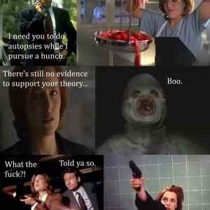 Obrázek 'favorite X-Files episode formula'
