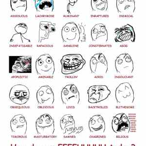 Obrázek 'feelings fffuuu chart original'