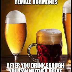 Obrázek 'female-hormones'