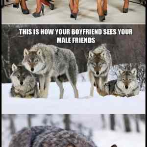 Obrázek 'female&nbsp;friends&nbsp;-&nbsp;male&nbsp;friends'