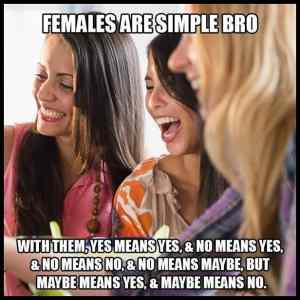 Obrázek 'females are simple - bro'