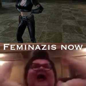 Obrázek 'feminazis'