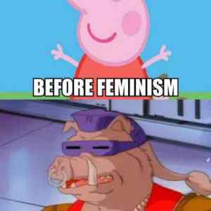 Obrázek 'feminism-before-after'