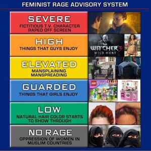 Obrázek 'feminist rage advisory 540'