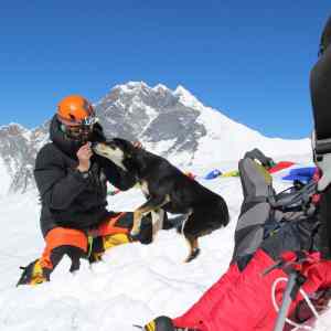 Obrázek 'fenka&nbsp;zdolala&nbsp;sedmitisicovku'