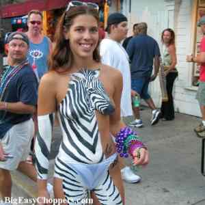 Obrázek 'fest zebra'