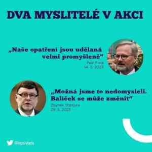 Obrázek 'fiala01'