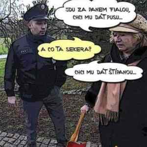 Obrázek 'fiala36'