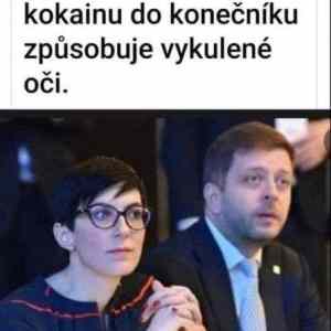 Obrázek 'fiala50d'