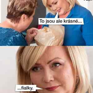 Obrázek 'fialky'