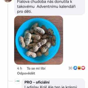 Obrázek 'fialova bida prochlastala detem kalendar'