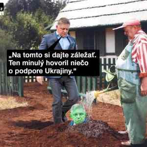 Obrázek 'fico pompo'