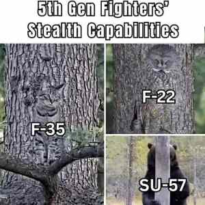 Obrázek 'fifth gen fighters'