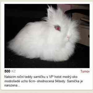 Obrázek 'find&nbsp;the&nbsp;evil&nbsp;one'