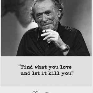 Obrázek 'find what you love'
