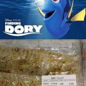 Obrázek 'finding dory   '