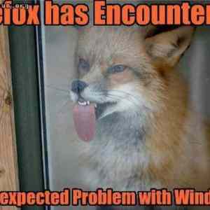 Obrázek 'firefox&nbsp;error'