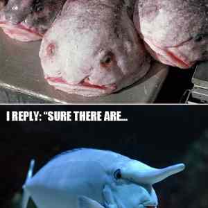 Obrázek 'fish46778'