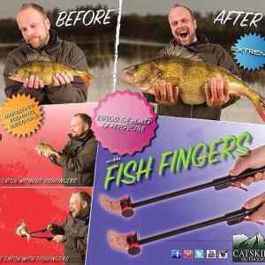 Obrázek 'fish fingers  '