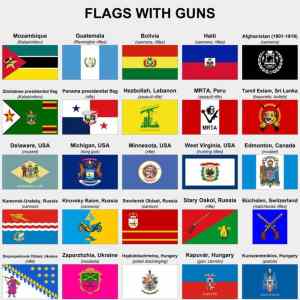 Obrázek 'flags with gun'