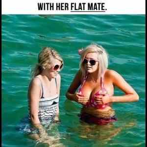 Obrázek 'flat mate'