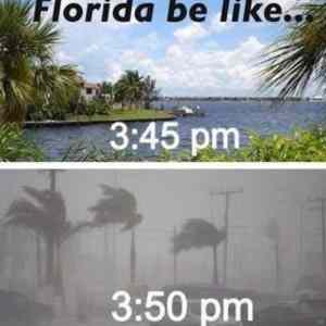 Obrázek 'florida be like'