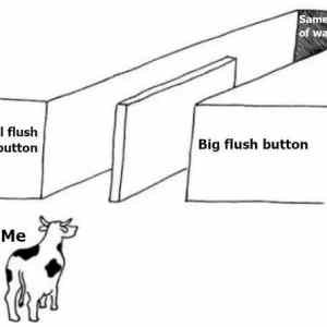 Obrázek 'flushing1'