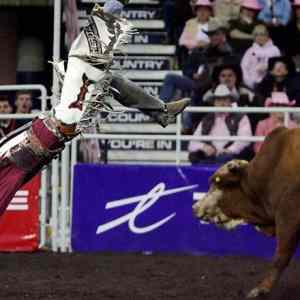 Obrázek 'flying cowboy'