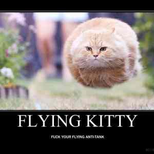 Obrázek 'flying kitty'
