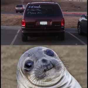 Obrázek 'for-seal&nbsp;14'