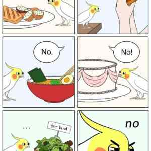 Obrázek 'for&nbsp;bird'