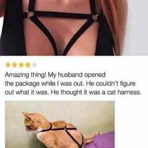 Obrázek 'for cat'