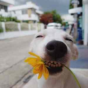 Obrázek 'for&nbsp;you&nbsp;fella'