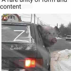 Obrázek 'form and content'