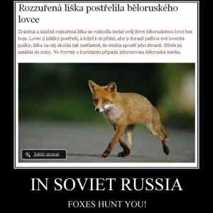 Obrázek 'fox hunter'