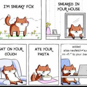 Obrázek 'foxy'