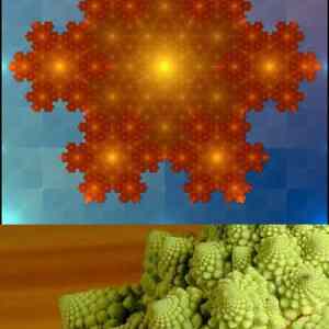 Obrázek 'fractals guy'