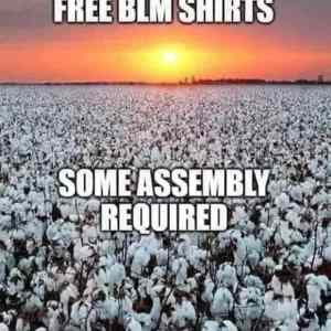 Obrázek 'free-blm-shirts'
