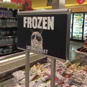 Obrázek 'frozen food'