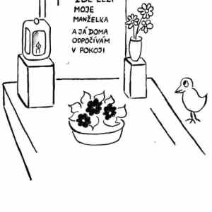 Obrázek 'ftipyP14'