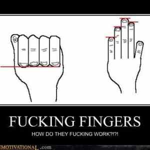 Obrázek 'fu fingers'