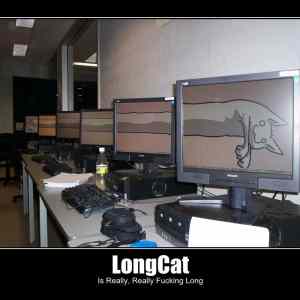 Obrázek 'fucking long cat'
