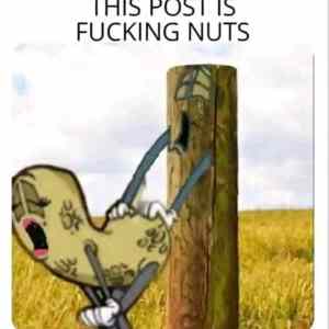 Obrázek 'fucking nuts'