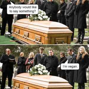 Obrázek 'funeral vegan'