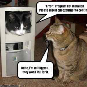 Obrázek 'funny-pictures-cat-plots-to-get-cheeseburger'