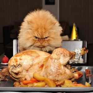 Obrázek 'funny garfield'